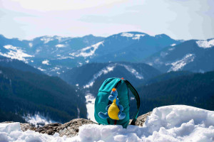 Heavenly Manali-Kullu  -3 Nights &amp; 4 Days