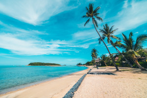Blaze Andaman - 4 Days &amp; 3 Nights