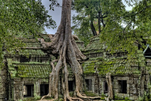 Siem Reap Angkor Temple Tours - 3 Days &amp; 2 Nights