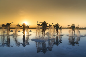 Vietnam - Hanoi - Ha Long Day Trip - 3 Days &amp; 2 Nights