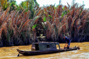 Vietnam - Ho Chi Minh City Tour – Cu Chi – Mekong Delta - 4 Days &amp; 3 Nights