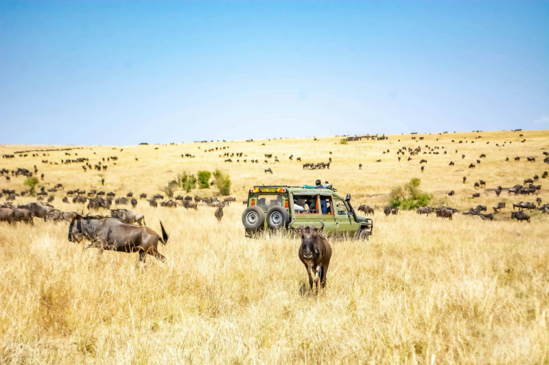 Classic Kenya Safari