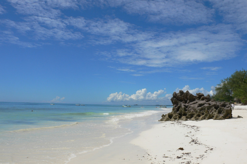 The ultimate Kenya Classic Safari &amp; Beach Experience