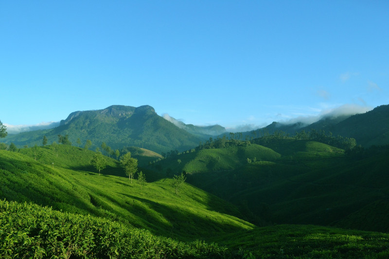 Memorable Kerala Hill Station &amp; Backwater