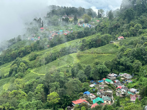 Magical North East -Gangtok, Darjeeling &amp; Kalimpong