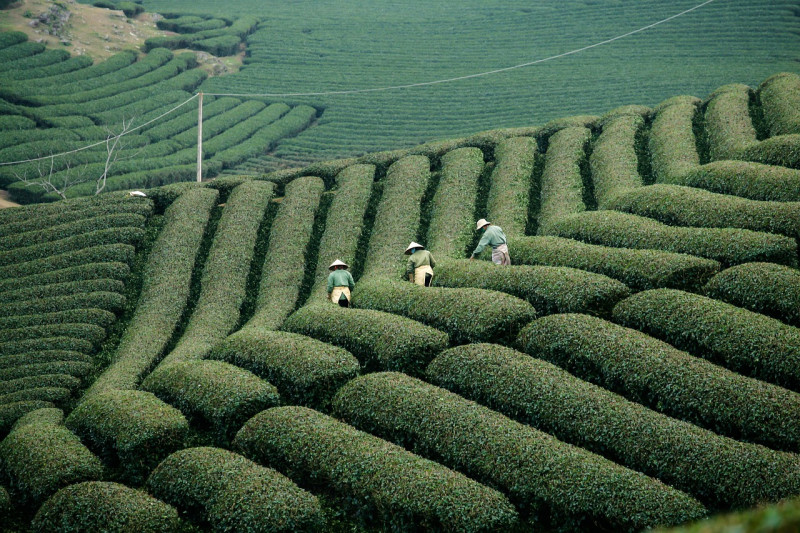 Mesmerizing Vietnam