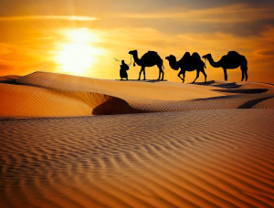 Memorable Rajasthan - 4 Nights &amp; 5 Days
