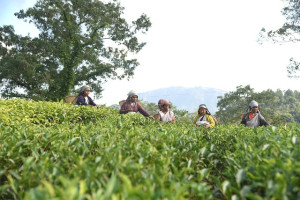 North East Retreats - Meghalaya &amp; Sikkim - 3 Nights &amp; 4 Days