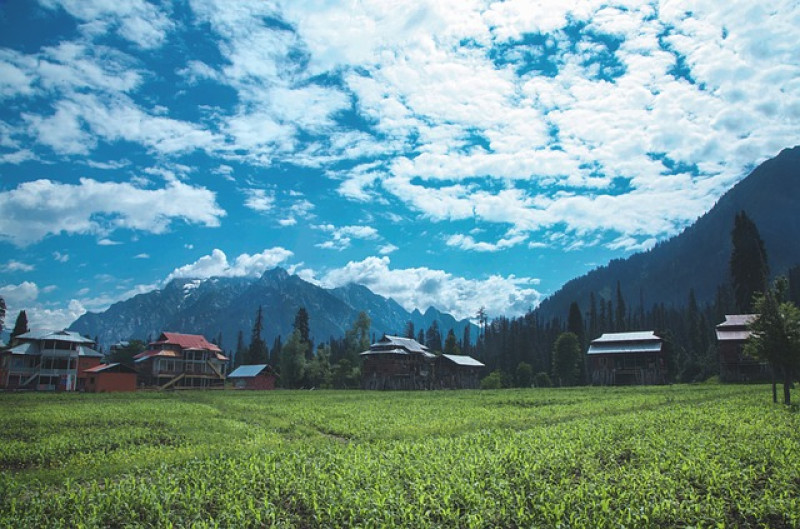 Kashmir Bliss - 6 Days &amp; 5 Nights