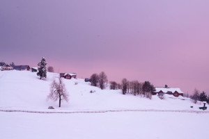 Romantic Kashmir - 5 Nights &amp; 6 Days