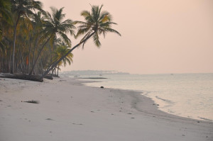 A Wooden Hut Retreat in Bangaram - Serene Lakshadweep - 2 Nights &amp; 3 Days