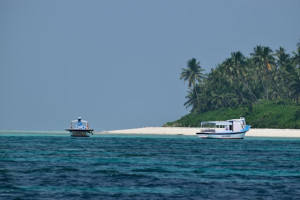 Premium Wooden Hut Stay in Bangaram - Lakshadweep - 3 Nights &amp; 4 Days
