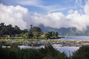 Vacation in Bali -  4 Nights &amp; 5 Days