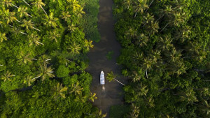 Mesmerizing Kerala Backwaters: Alleppey &amp; Kumarakom - 2 Nights &amp; 3 Days