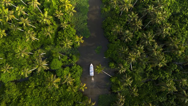 Mesmerizing Kerala Backwaters: Alleppey & Kumarakom - 2 Nights & 3 Days