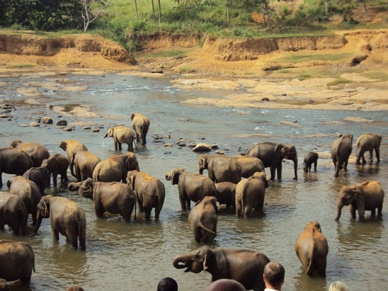 Secrets of Sri Lanka -  3 Nights &amp; 4 Days