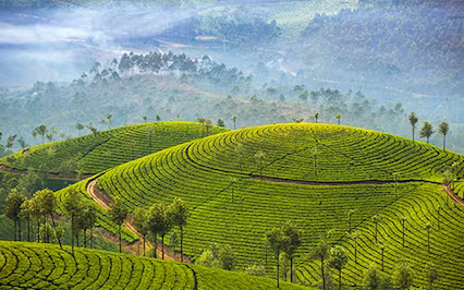 Munnar Alleppey Tour Package 2 Nights 3 Days